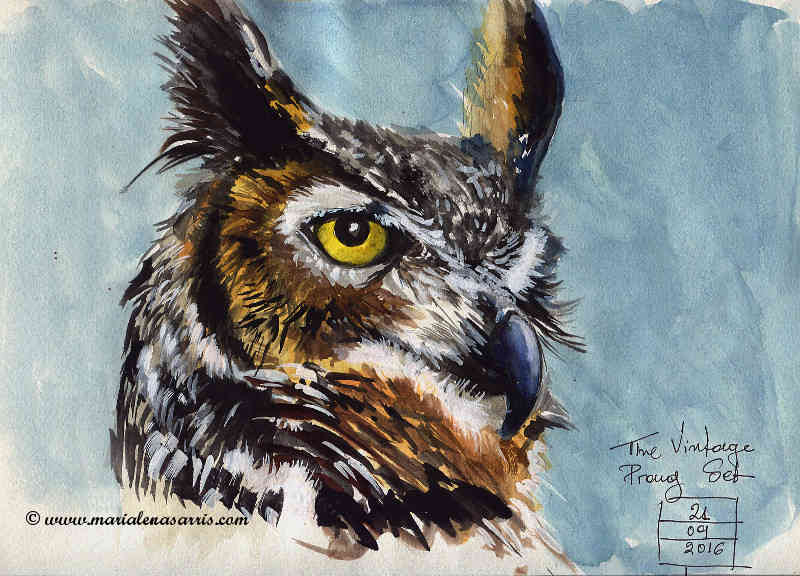 An Owl- Watercolour Animal Study 1- Artist Marialena Sarris- © 21-9-2016
