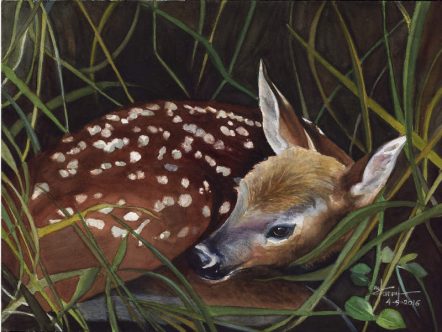 The Little Deer-Watercolour Deer Painting- Artist Marialena Sarris - © 2016