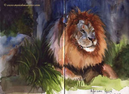 African Lion - Watercolour Wild Life Sketch- Artist Marialena Sarris- © 21-3-2016