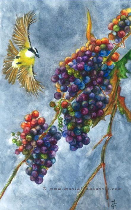 Grapes-Watercolour Painting with Grapes- ©Marialena Sarris 2015