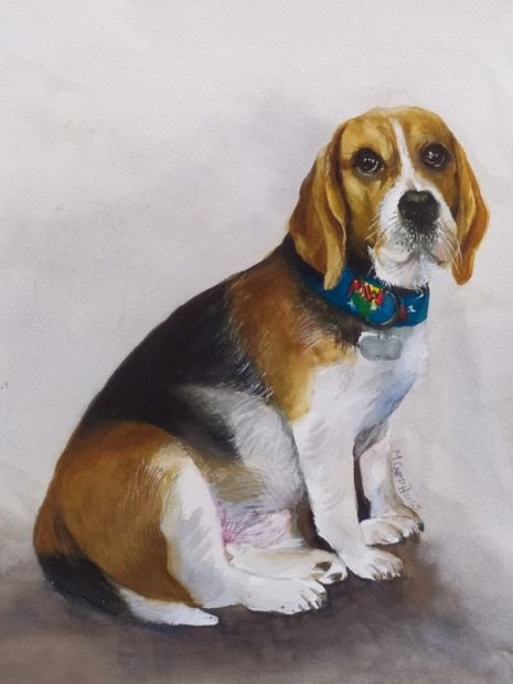 Rex the Beagle